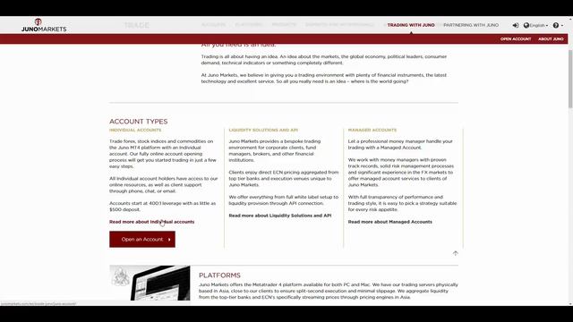 Обзор JunoMarkets - PFOREX.COM смотреть онлайн