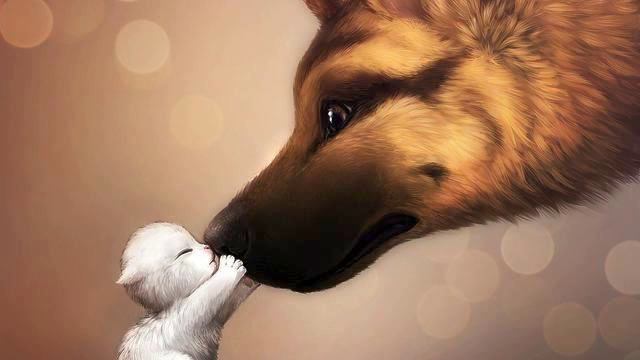 Канал самых лучших русских песен и видео онлайн смотреть онлайн