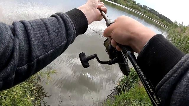 ТОЛСТОЛОБ ТРОФЕЙ! ЛОВЛЯ ТОЛСТОЛОБА НА ТЕХНОПЛАНКТОН! рыбалка на толстолобика смотреть онлайн