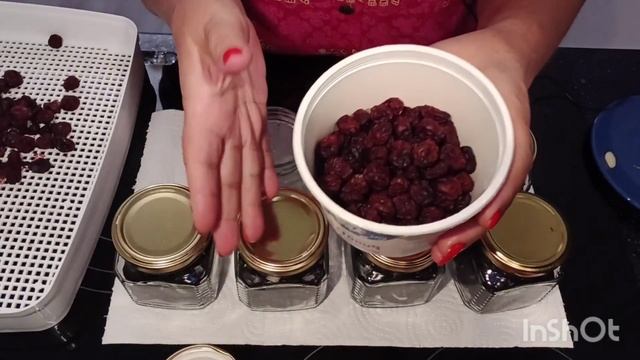 Вяленые сливы, вяленый крыжовник. Эксперементирую.