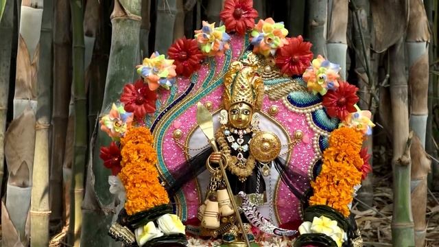 Dhyan Swaminarayan Dhun 113 | ધ્યાન સ્વામિનારાયણ ધૂન ૧૧૩ | Gyanjivandasji Swami - Kundaldham смотреть онлайн
