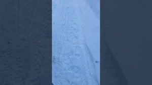 Запуск дизеля Kia Sorento в минус 35 13.01.2024 г. Kia Sorento Praim 2.2 CRD 2019.