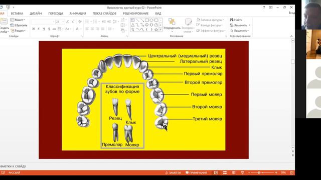 7 класс. Пищеварение у животных, часть 3 смотреть онлайн