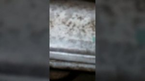 Шум цепи ГРМ suzuki grand vitara j20a