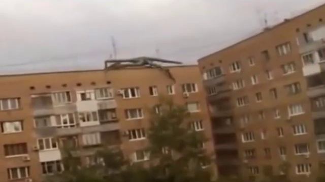 Палочник в России.