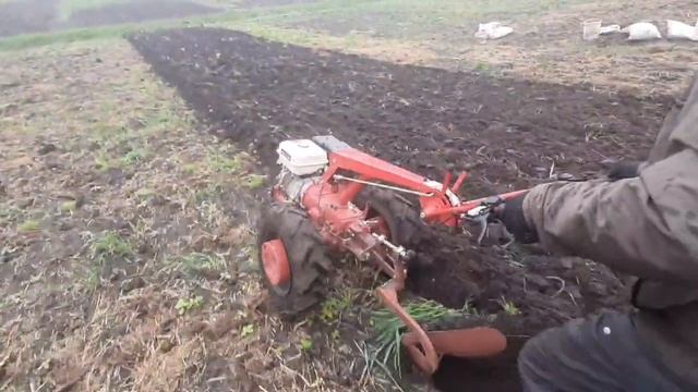 посадка картофеля мотоблоком под плуг
