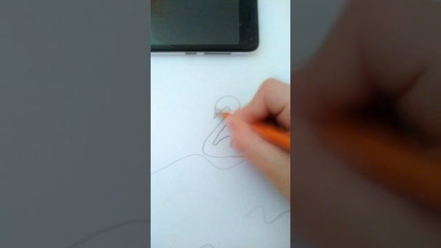 Вот как легко можно нарисовать лебедей смотреть онлайн
