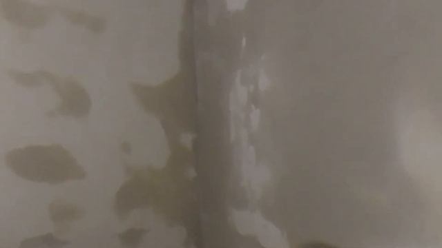 Замазываю штробы / Штукатурю стены / Гипсовая штукатурка / Ремонт спальни / Ремонт детской / Часть смотреть онлайн