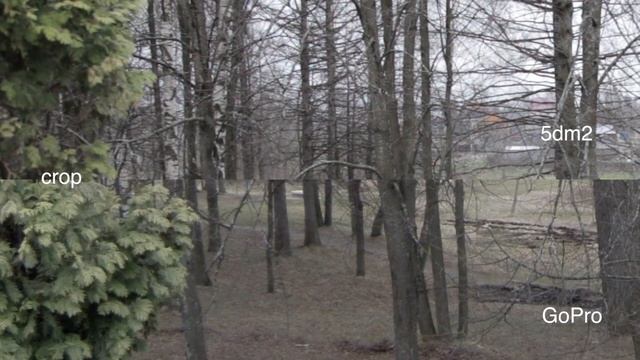test GoPro, canon 5dm2, panasonic 154 смотреть онлайн