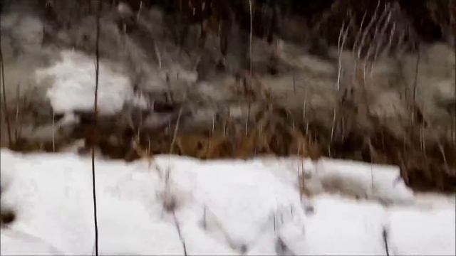 Деревня Горки, Клинского района, участки для многодетных семей смотреть онлайн