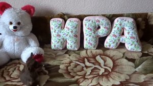 Тайная жизнь домашних животных. 1 часть