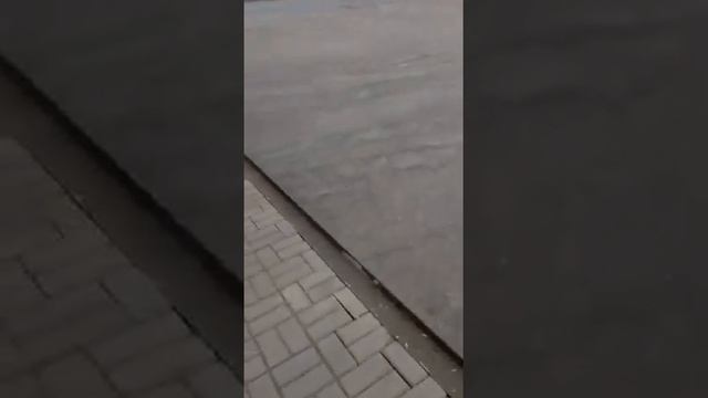 Российские машины заправляются соляркой в Казахстане смотреть онлайн
