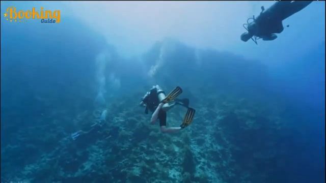 Red Sea Underwater | SCUBA Diving Egypt 4K video смотреть онлайн