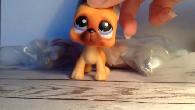 ♡Opening a Mystery LPS Lot From eBay! +NEW MASCOT REVEAL смотреть онлайн