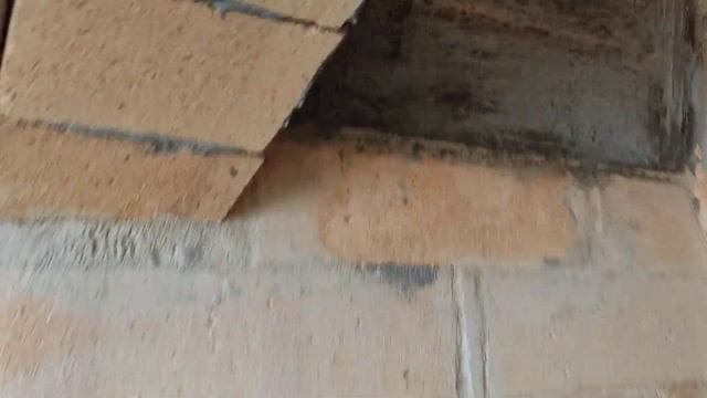 Монгал в Симферополе)