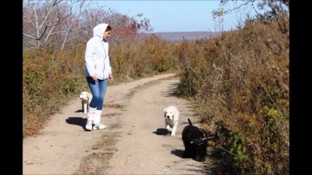 Осень Сказочный чертог смотреть онлайн