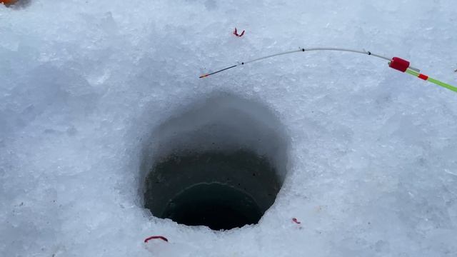 На простую мормышку ПОЙМАЛ БОЛЬШЕ ВСЕГО! Это глухозимье? Зимняя рыбалка 2023 смотреть онлайн