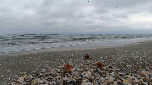 Шум моря. Шум волн. Энергия моря. Морской прибой.#море #морскойприбой #морскиеволны #берегморя