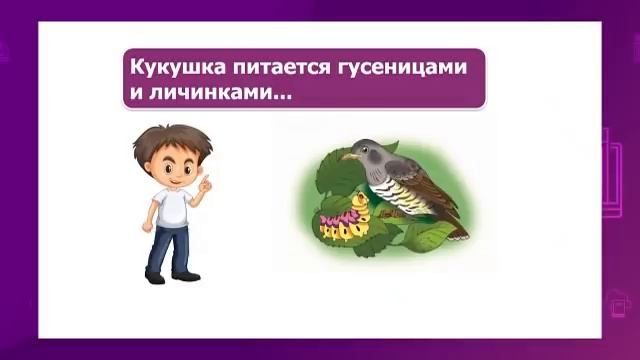 Обучение грамоте. 1 класс. В гости к птицам /07.12.2020/ смотреть онлайн