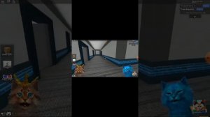 Настоящий голос котёнка лайка 😱 😱 😱 😱 😱 😱