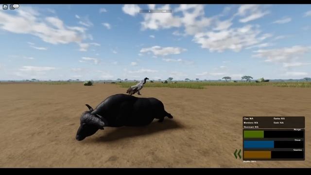 Roblox: Wild Savanna Tier List