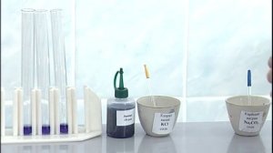 Гидролиз солей. Опыт 2. Определение реакции среды в растворах солей