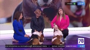 Эфир от 29.04.2023 Светлана Посохина, хендлер и Екатерина Александрова, ветеринарный врач