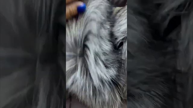 Пуховички с натуральным мехом Зима❄️