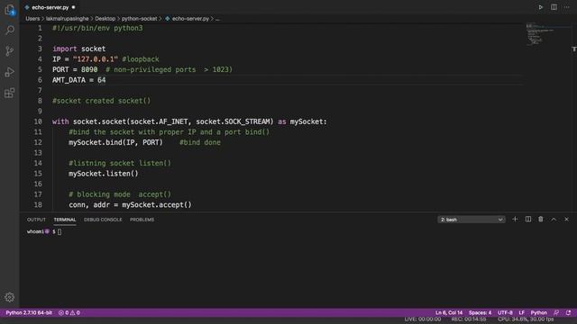 Socket Programming- Echo Client - Server Using Python смотреть онлайн