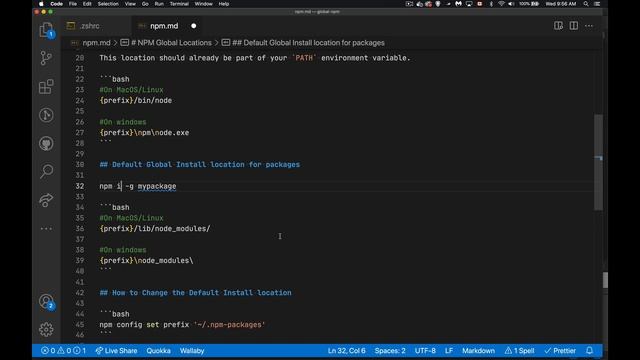 Changing the global NPM Install Location for Win & Mac смотреть онлайн