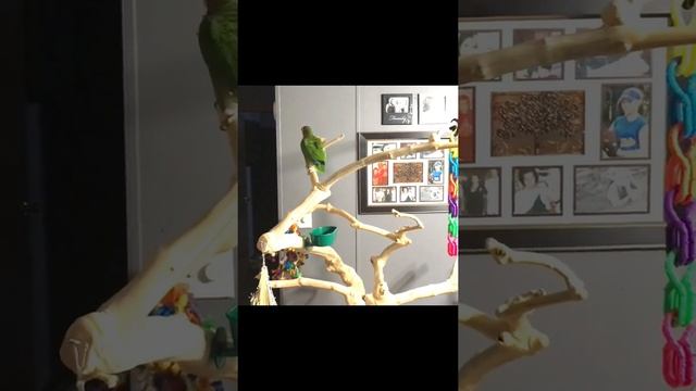 The fids new java tree смотреть онлайн