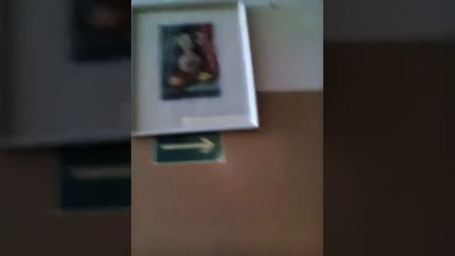 Картины мира смотреть онлайн