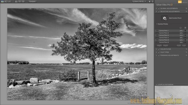 Processing a Photo With Nik Silver Efex Pro 2 & Lightroom (Training Tutorial) смотреть онлайн