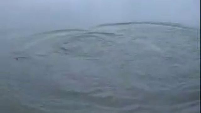 Pike Fishing with Matt Hayes смотреть онлайн