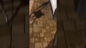 китайские покрышки Hifly модель hf 805 размерный ряд 235-55-17, Мосавтошина интернет магазин