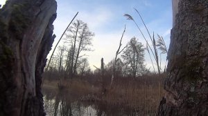 НЕВЕРОЯТНАЯ ОХОТА НА СЕЛЕЗНЯ И ВАЛЬДШНЕПА ВЕСНОЙ