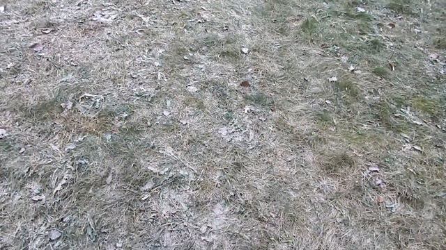 Рецепт вкусного пирога с капустой /Три дороги в лесу и елочки смотреть онлайн