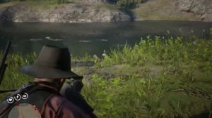 Где найти БОБРА в RDR2 | Превосходная шкура бобра