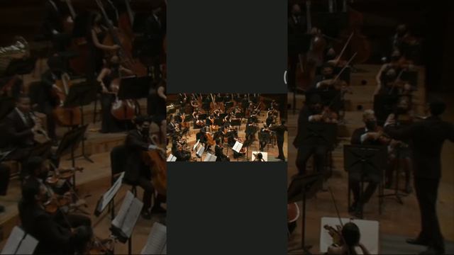 Pájaro de Fuego, Igor Stravinsky solo de fagot. смотреть онлайн