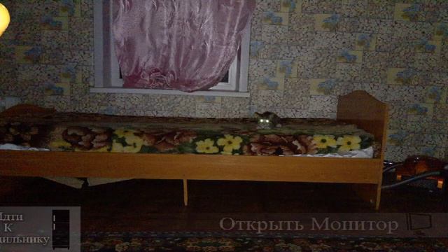 пять ночей у ёжика мини игры было скримэры смотреть онлайн