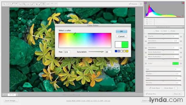 Creating selective color effects with the Adjustment Brush - Adobe Photoshop Essential смотреть онлайн