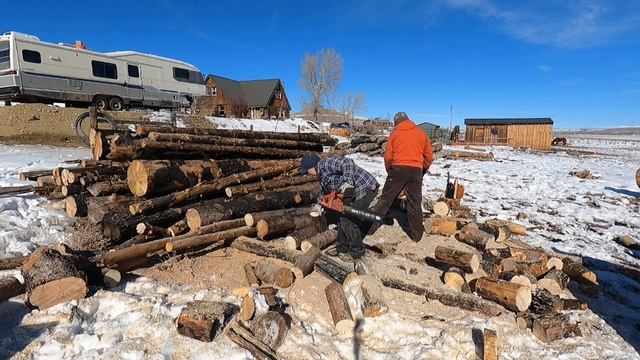 Paula cutting with her Husqvarna 353 and loading wood смотреть онлайн