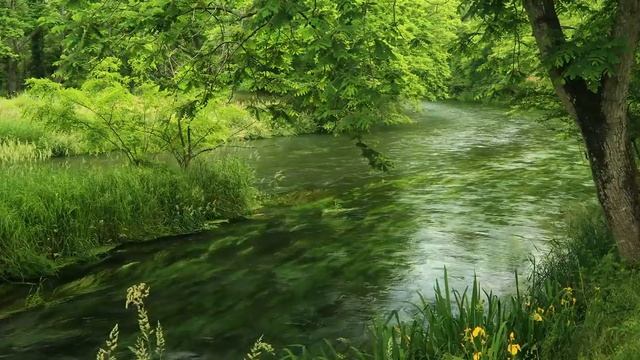 Beautiful Water Landscape And Sounds Of Nature