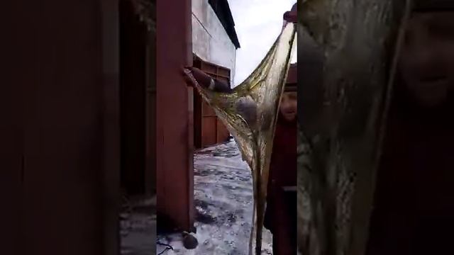 как себя повело машинное масло на морозе. смотреть онлайн