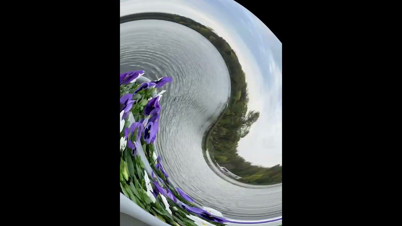 #зож #спорт #тренировки #бег #закаливание смотреть онлайн