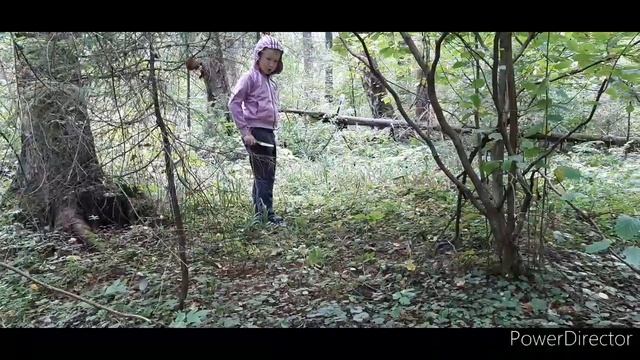 Прогулка с братом по лесу, насоберали орехов и грибов ))) смотреть онлайн