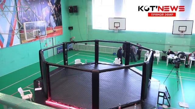 Чемпионат и первенство по ММА Архангельской области