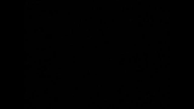 Что такое 89 Сквад? Или Фрик сквад?