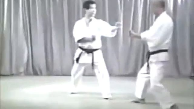 Karate Wado Ryu _ The Essence of Wado Ryu смотреть онлайн
