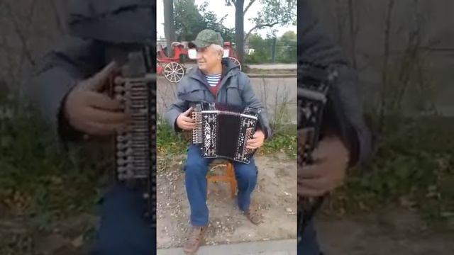 Супер-наигрыш? Гармонь Тульская «Любительская» смотреть онлайн